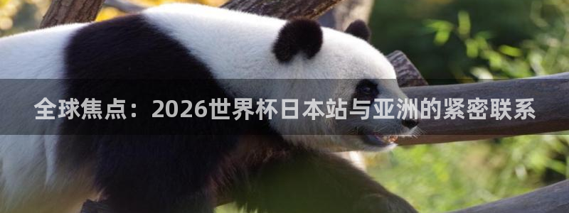 世界杯比赛赛程：全球焦点：2026世界杯日本站与亚洲的紧密联系