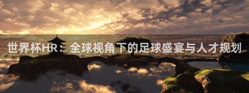 世界杯决赛直播：世界杯HR：全球视角下的足球盛宴与人才规划