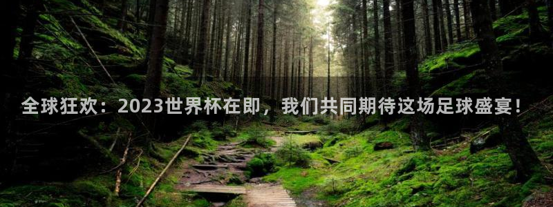 2026年世界杯直播平台：全球狂欢：2023世界杯在即，我们共同期待这场足球盛宴！
