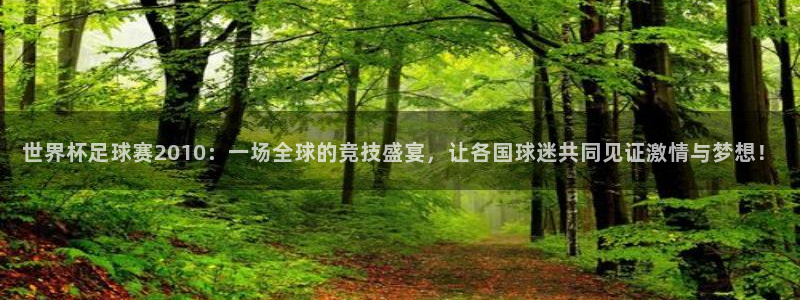 今年世界杯：世界杯足球赛2010：一场全球的竞技盛宴，让各国球迷共同见证激情与梦想！