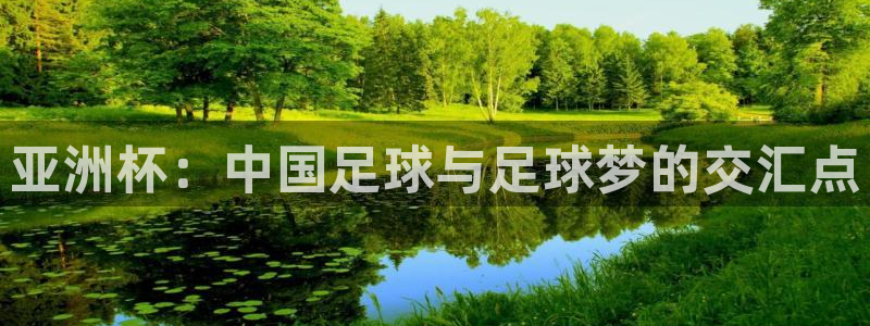 世界杯附加赛赛程表：亚洲杯：中国足球与足球梦的交汇点