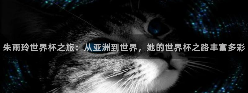 国际足联世界杯：朱雨玲世界杯之旅：从亚洲到世界，她的世界杯之路丰富多彩
