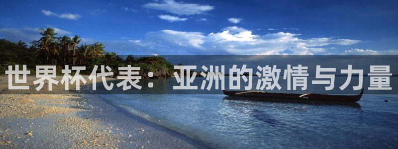 世界杯：世界杯代表：亚洲的激情与力量
