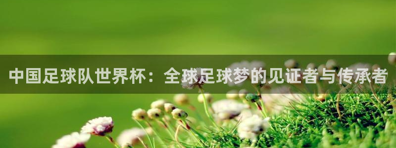世预赛赛程表：中国足球队世界杯：全球足球梦的见证者与传承者