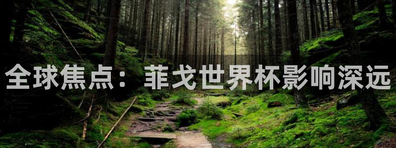 世界杯2026赛程表：全球焦点：菲戈世界杯影响深远