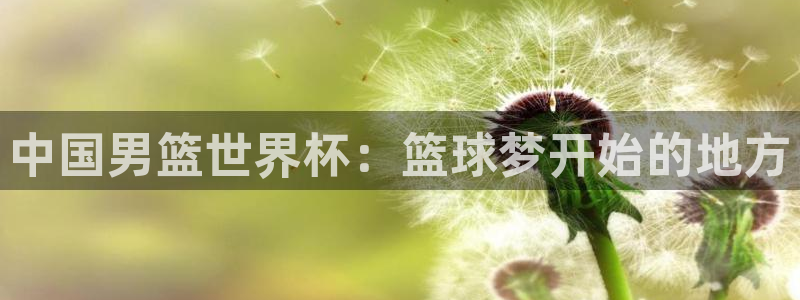 2026世界杯赛程时间表最新：中国男篮世界杯：篮球梦开始的地方