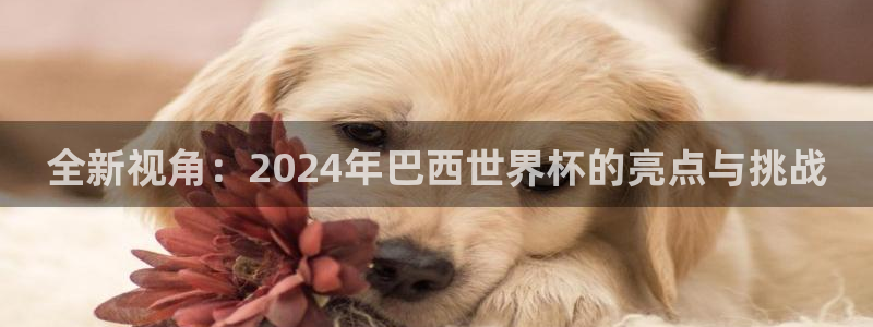 今天所有足球赛程表：全新视角：2024年巴西世界杯的亮点与挑战