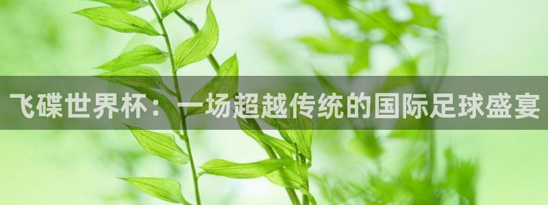 世界杯预选赛欧洲区赛程：飞碟世界杯：一场超越传统的国际足球盛宴