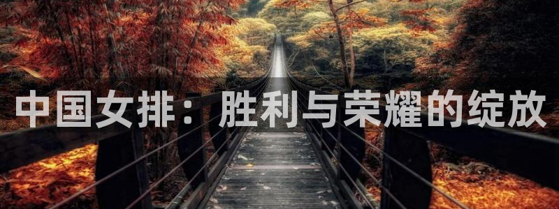 世界杯今年：中国女排：胜利与荣耀的绽放