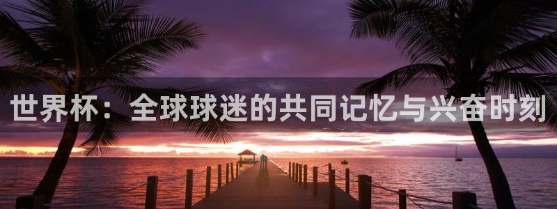 2026世界杯直播免费观看：世界杯：全球球迷的共同记忆与兴奋时刻