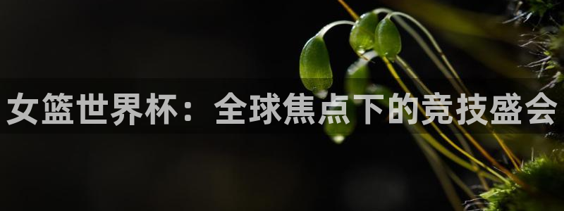 世界杯直播时间：女篮世界杯：全球焦点下的竞技盛会