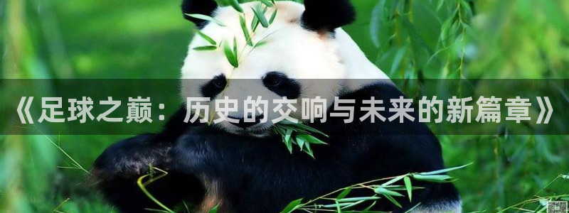 2026世界杯倒计时：《足球之巅：历史的交响与未来的新篇章》